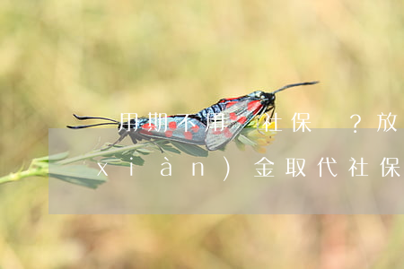 試用期不用繳社保？放棄繳社保？用現(xiàn)金取代社保？HR請拒絕這些×操作……